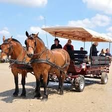 La Bredaine - photo 1