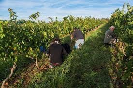 Domaine de Lastronques - photo 2