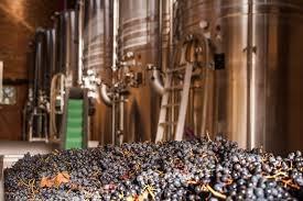 Domaine de Lastronques, caviste à Lézat-sur-Lèze