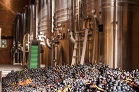 Domaine de Lastronques - photo 1