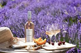 Domaine des Ouillières - photo 1