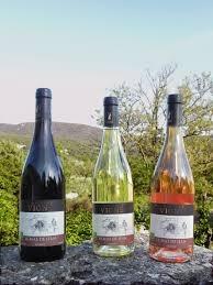 Domaine Vigne - photo 4
