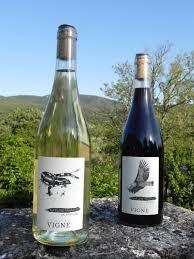 Domaine Vigne - photo 5