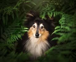 Nina Photographie - photo 2