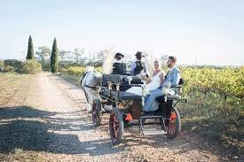 Les Calèches D'Elodie - photo 5