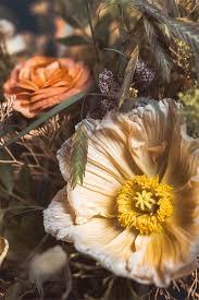 Histoire de Fleur - photo 5
