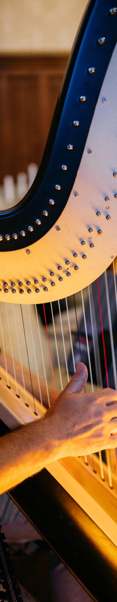 La Harpe, élégance et modernité - photo 6