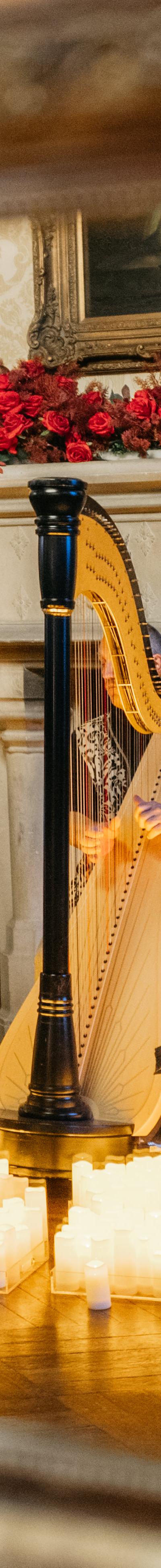 La Harpe, élégance et modernité - photo 5
