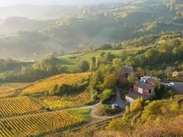 Domaine du Cros - photo 1