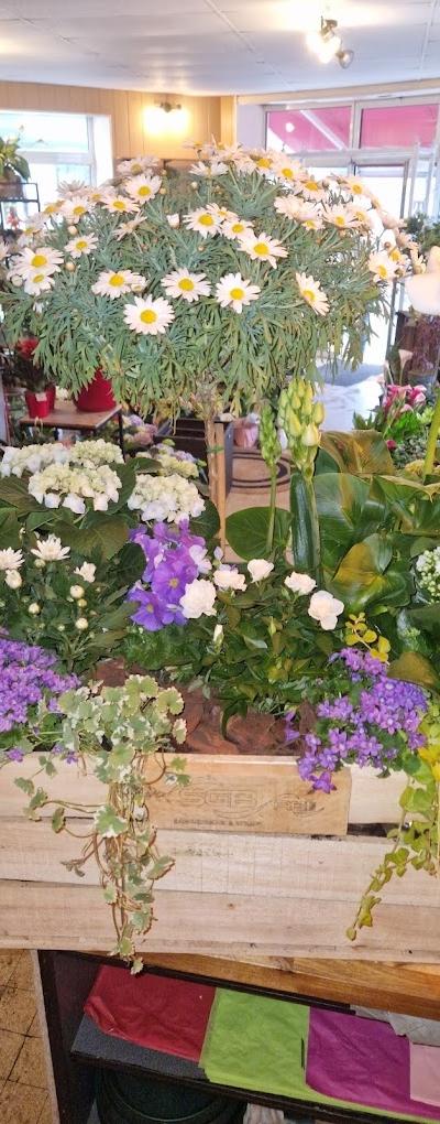 L'Amaryllis, fleuriste à Fressenneville