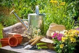 Nuances végétales, fleuriste à Mordelles