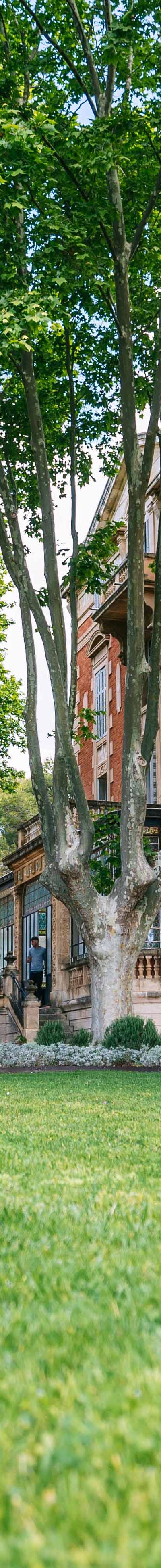Château de la Beaumetane - photo 2