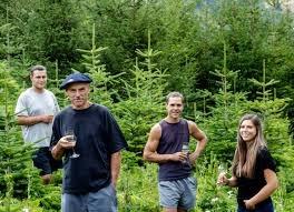 Domaine des Anges - photo 3