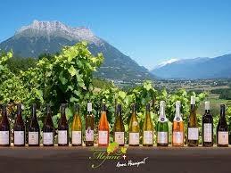 Domaine des Anges - photo 2
