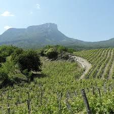 Domaine des Anges - photo 4