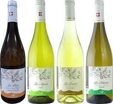 Domaine des Anges - photo 5