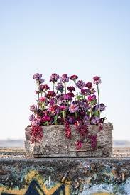 Folle(s) Avoine(s) - photo 5