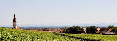 Domaine Marcel Freyburger - photo 5