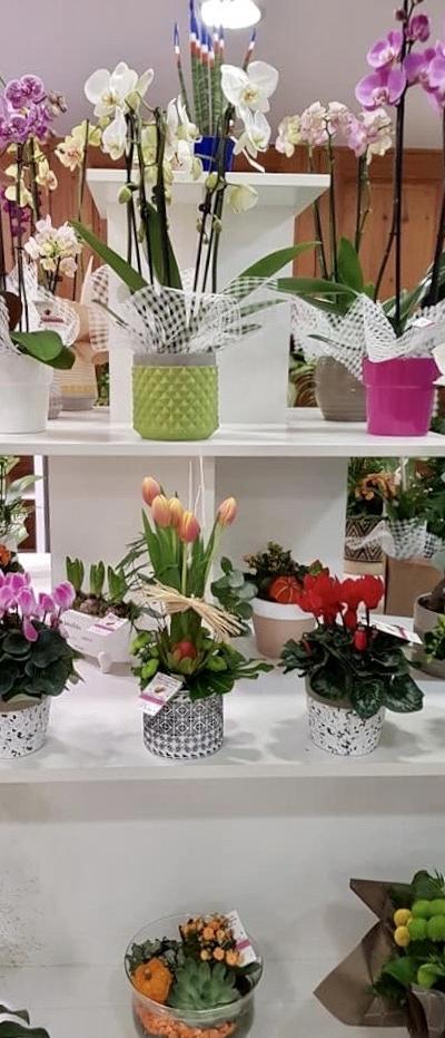 Aux Bouquets de Marie'Flore, fleuriste à Sainghin-en-Weppes