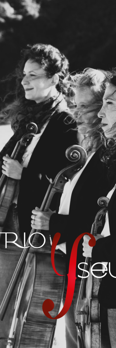 Trio Yseult, Trio Classiquement Pop - photo 5