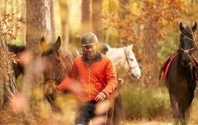 Equi Event - photo 5