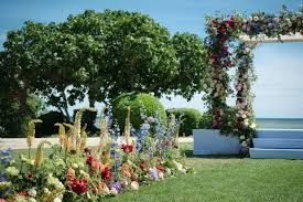 Jardin D'Arums - photo 1