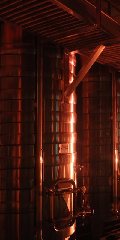 Domaine Du Cinquau - photo 3
