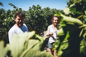 Domaine de Cantalauze - photo 2