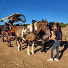 Provence Hipposervice, véhicule à Roussillon