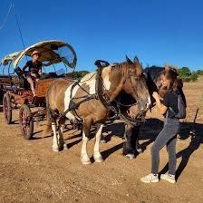 Provence Hipposervice - photo 1
